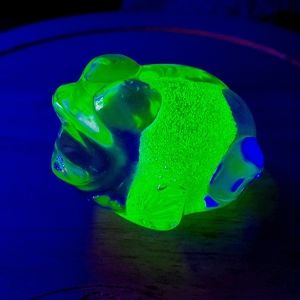 🐸Glowing Froggy🐸